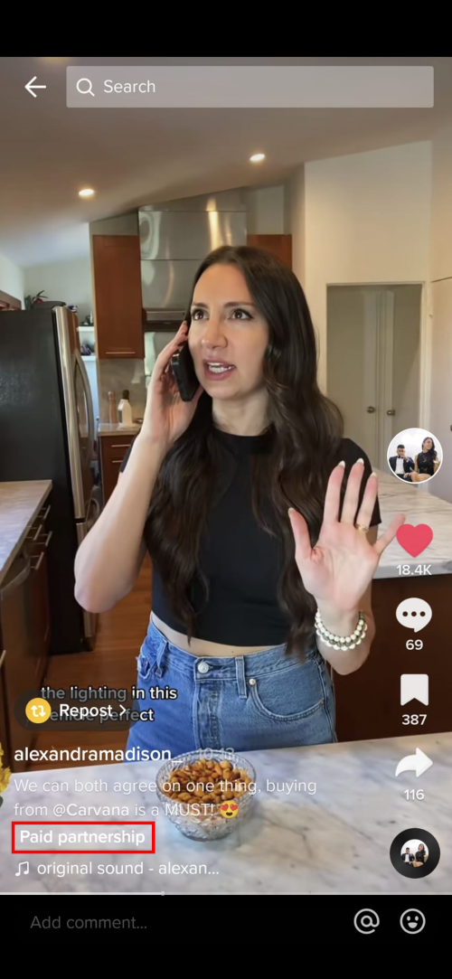 what paid partnership posts look like on tiktok