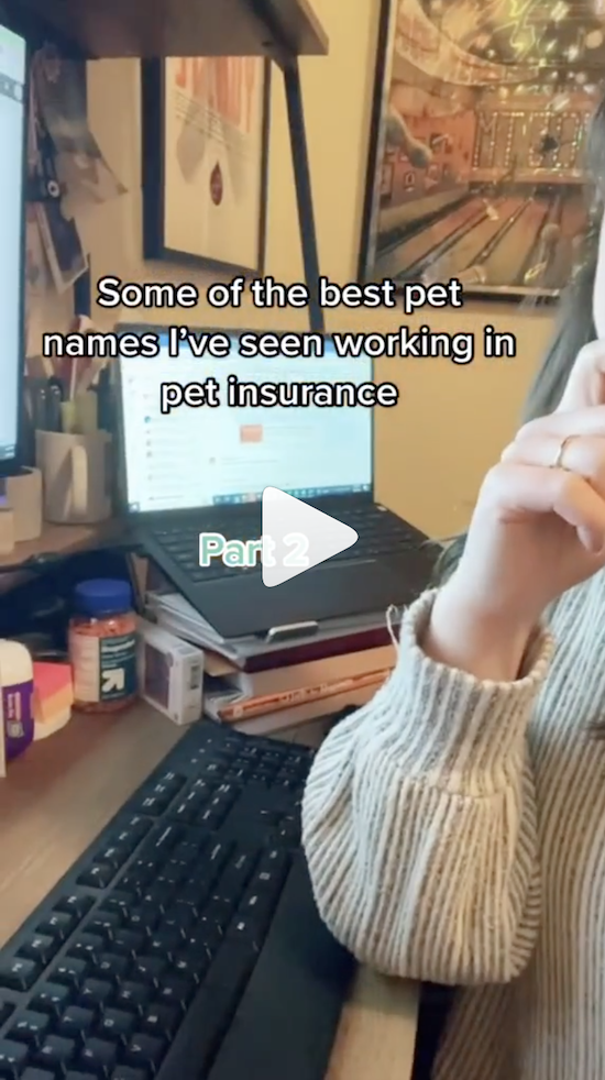 A Reel on Figo Pet's Instagram channel that shows someone sitting at their desk with their computer in the background and text on the screen that reads "some of the best pet names I've seen working in pet insurance, part 2"