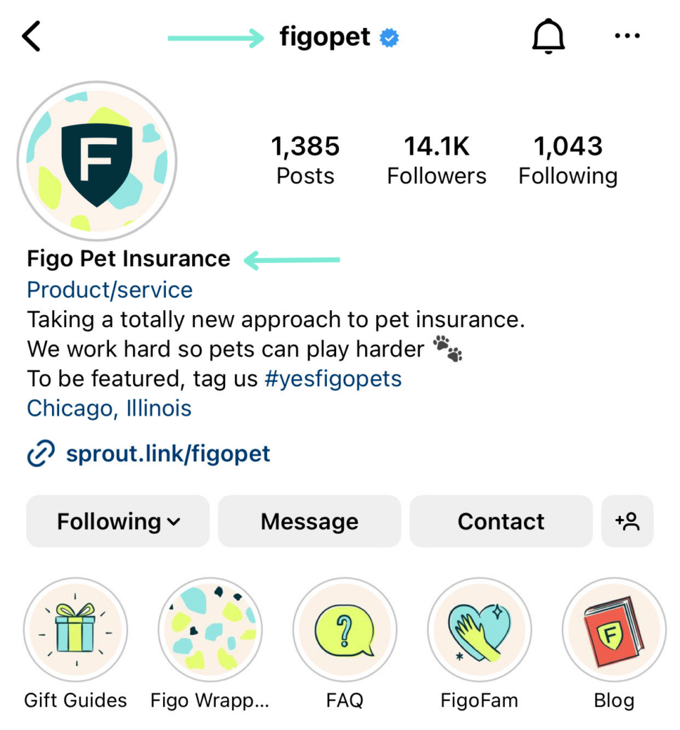 A screenshot of Figo Pet's Instagram bio where their handle is FigoPet, but their name is Figo Pet Insurance, which is more in depth and includes keywords, like pet insurance.