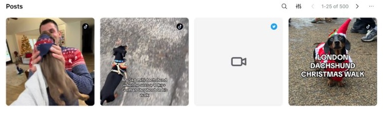 A side-by-side display of three TikToks and one X (formerly Twitter) post from creators