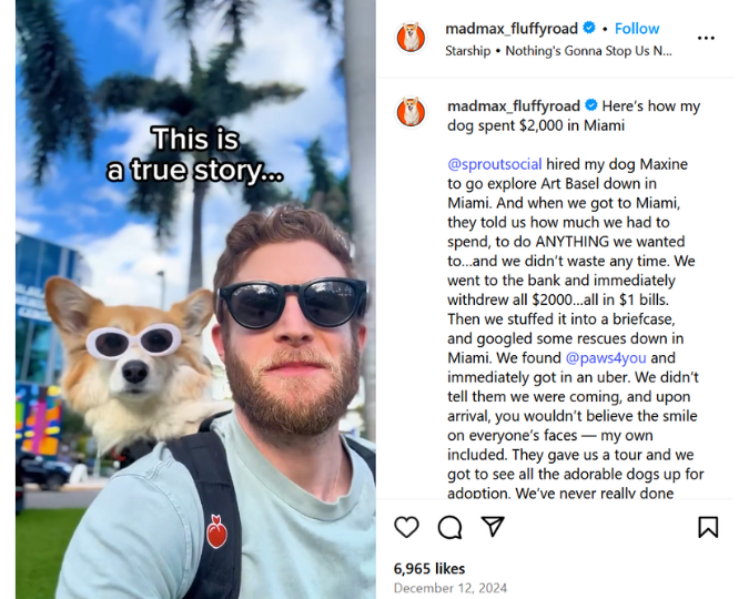 Sprout Social partnered with influencer Maxine, a corgi, to support local animal rescues in Miami, Florida