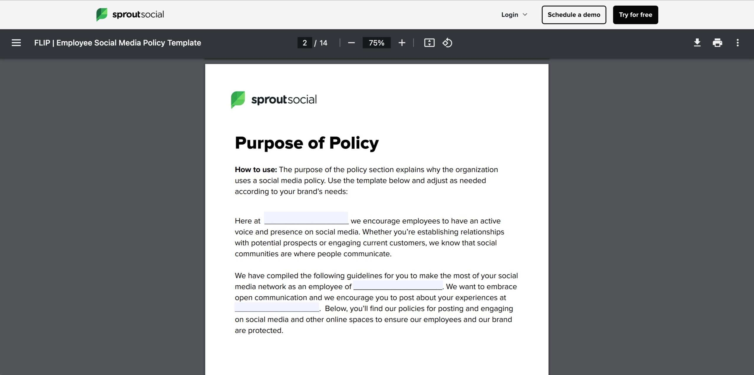 The social media policy template PDF.